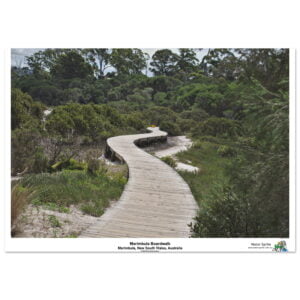 Merimbula Boardwalk scenic poster - MB2022.01 bare poster