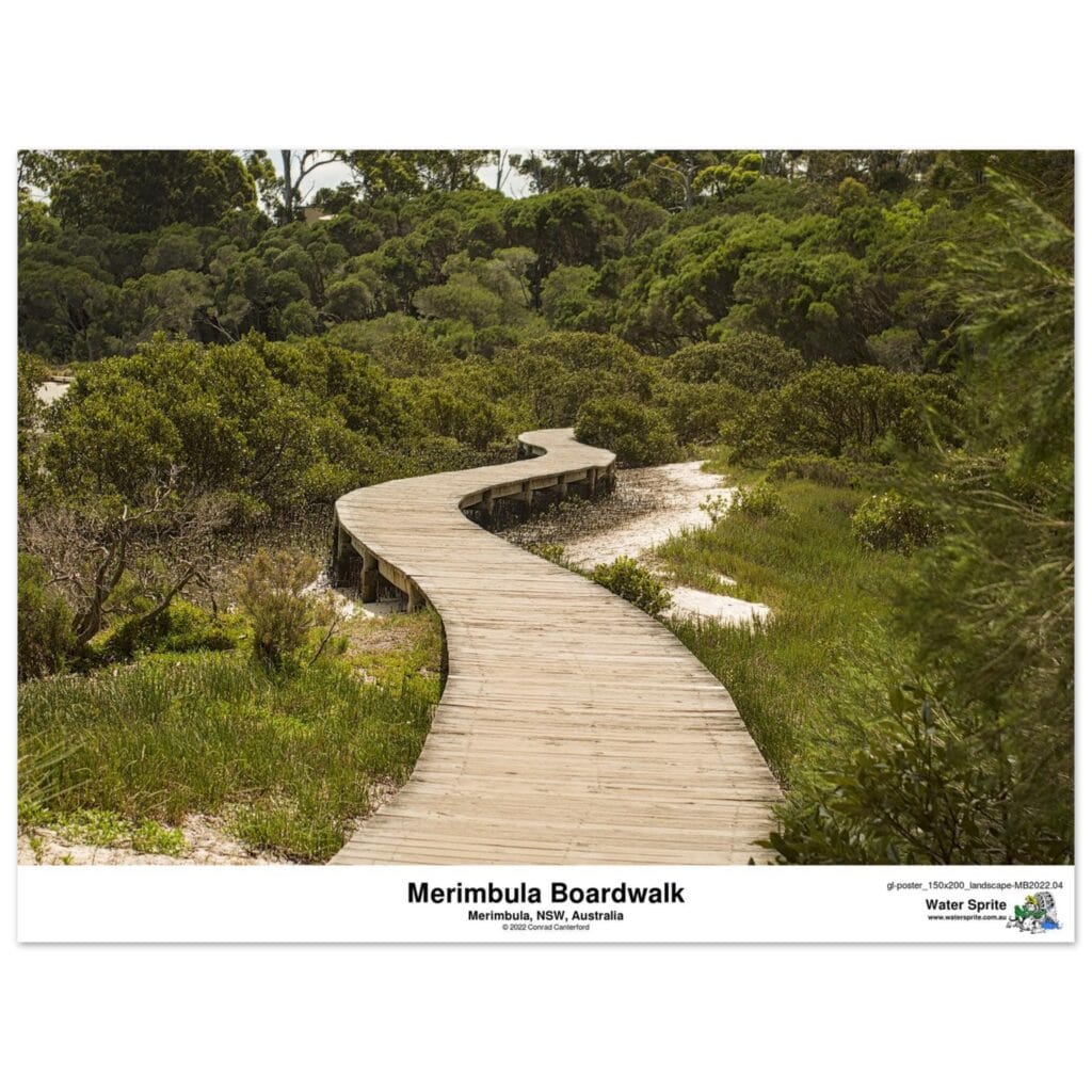 d2bb818e-db8e-4c99-a720-7c0a9cf01236