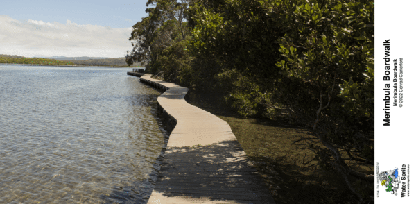Merimbula Boardwalk 2022 Photo Mugs - Photo 1 - Image 9