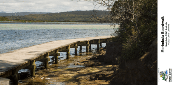 Merimbula Boardwalk 2022 Photo Mugs - Photo 2 - Image 9