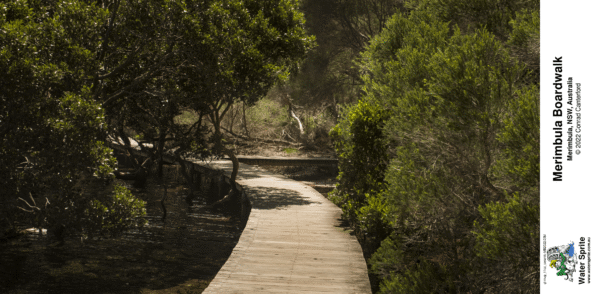 Merimbula Boardwalk 2022 Photo Mugs - Photo 3 - Image 9