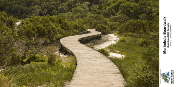 Merimbula Boardwalk 2022 Photo Mugs - Photo 4 - Image 9