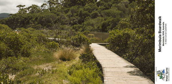 Merimbula Boardwalk 2022 Photo Mugs - Photo 5 - Image 9