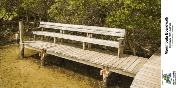 Merimbula Boardwalk 2022 Photo Mugs - Photo 6 - Image 9