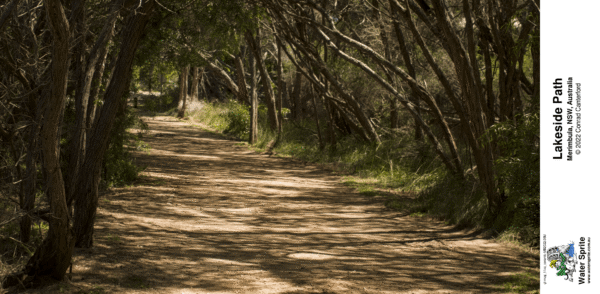 Merimbula Boardwalk 2022 Photo Mugs - Photo 8 - Image 9
